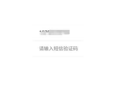 黑客如何获取短信验证码风险解析「黑客可能知道你手机的验证码吗」